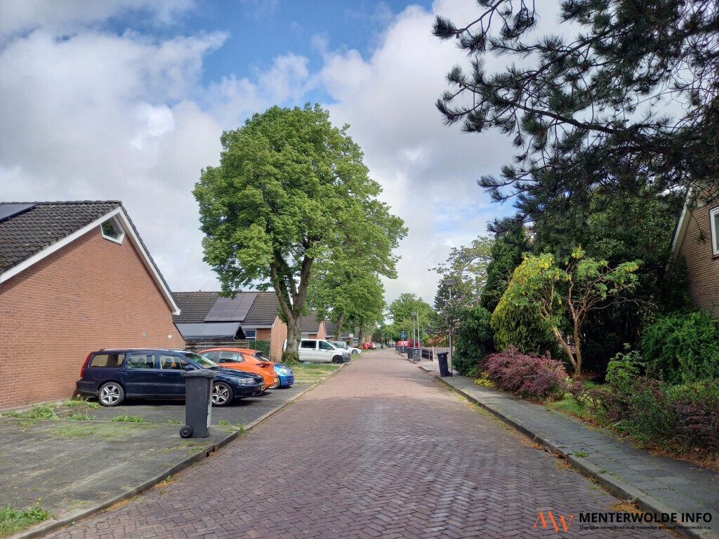 PRO bezorgd over parkeren in BV-straat in Muntendam