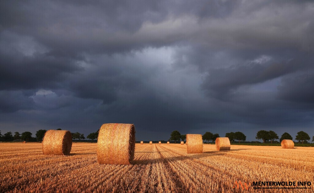 Meedenaar Willem Slagter winnaar 'Agritrader Foto van het Jaar 2025'