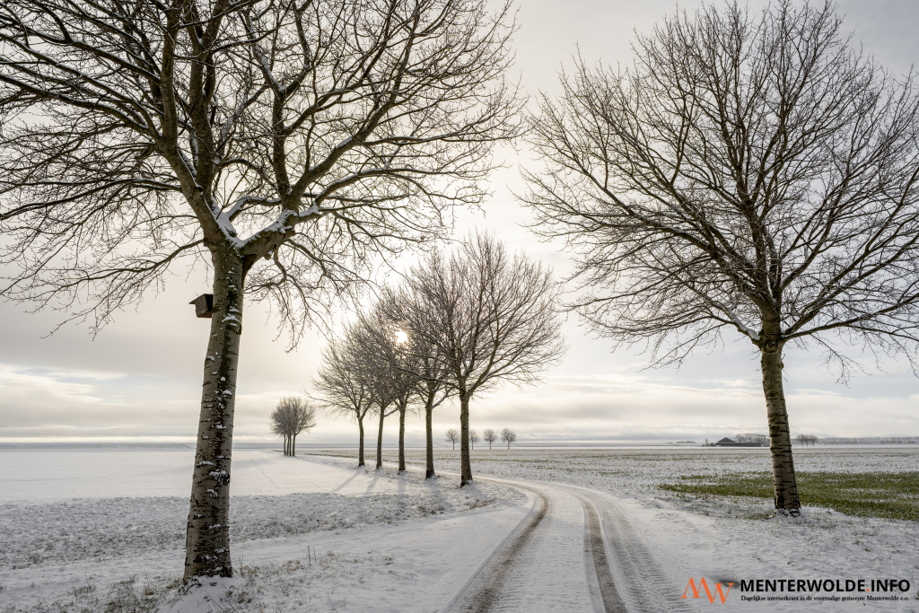 Rieks Kamphuis leeft zich met camera uit in de polders