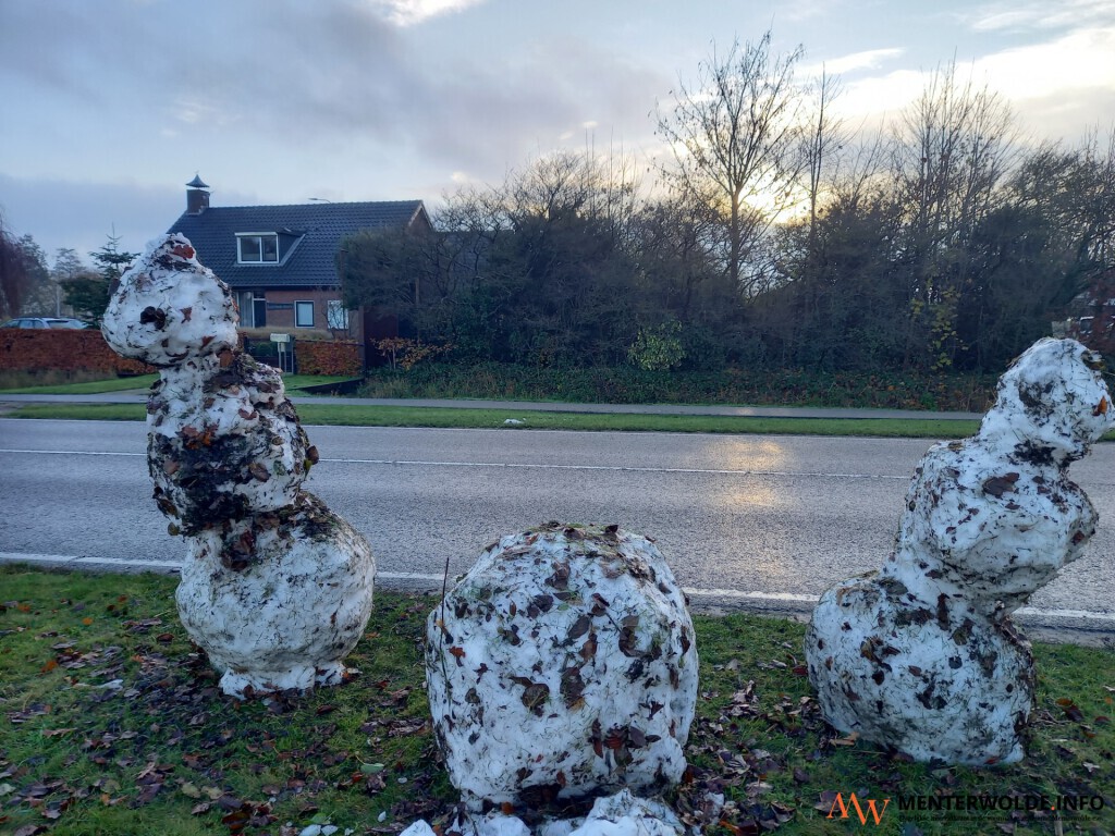 Sneeuwpoppen op een rij houden de wacht op Duurkenakker