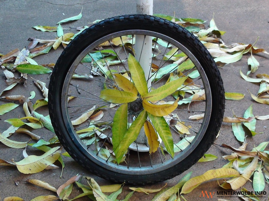 Ouderen Actief Muntendam verzorgt demo driewielfiets