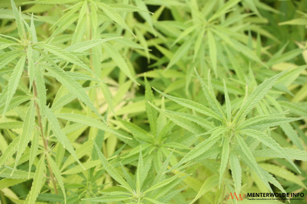 Burgemeester Van Lente sluit drugsschuur in Noordbroek voor half jaar