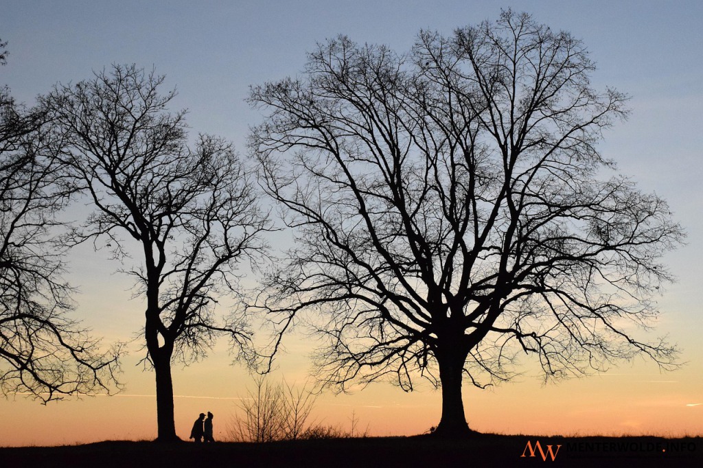 Mysterieuze wandeling 'Betoverend Sellingen' met honderden lichtjes