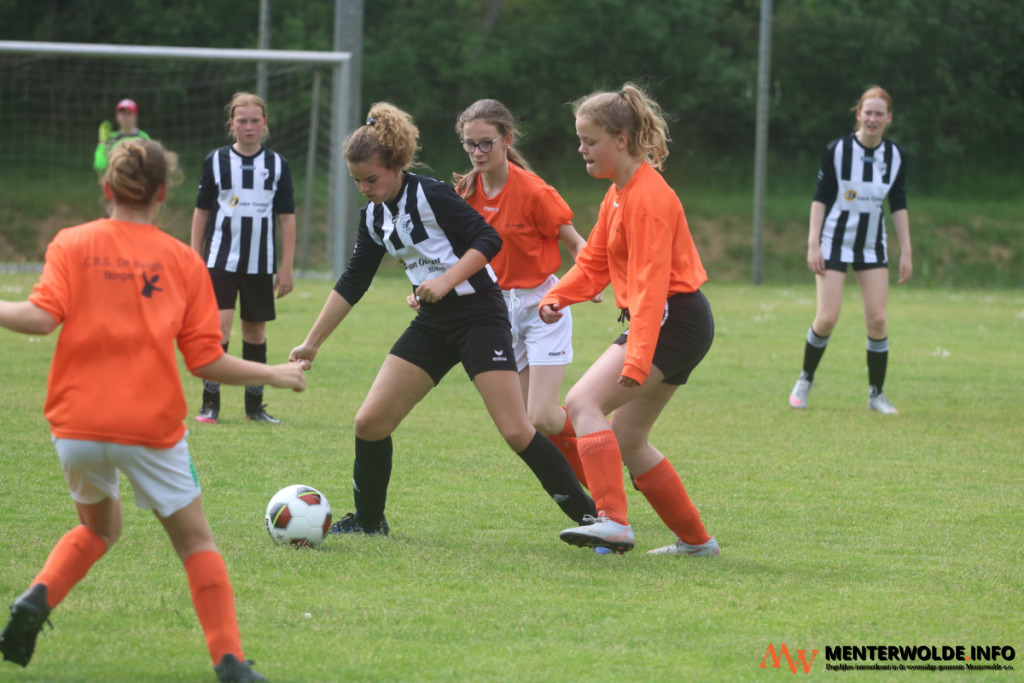 The fields at Harkstead are unplayable: striped by school football